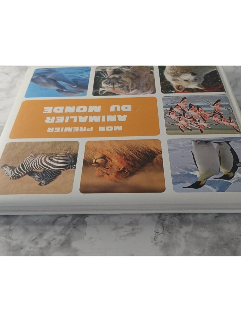 Mon Premier Animalier du Monde Auzou Livre Enfant Animaux Couverture Rigide - Picture 7 of 9